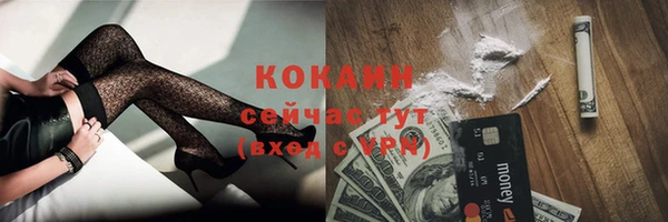 мдпв Киренск