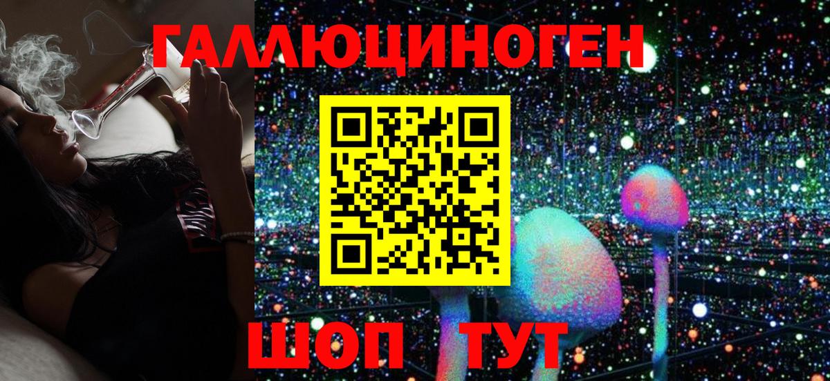 Псилоцибиновые грибы Psilocybe  Вход с VPN  Грозный 