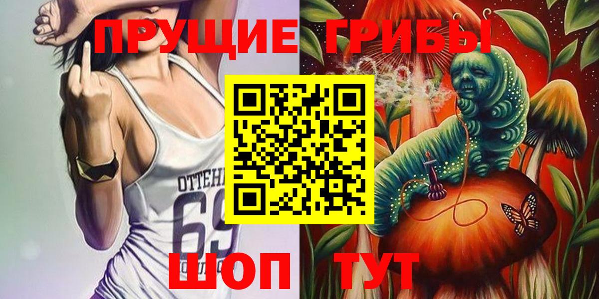 Псилоцибиновые грибы мицелий  Грозный 