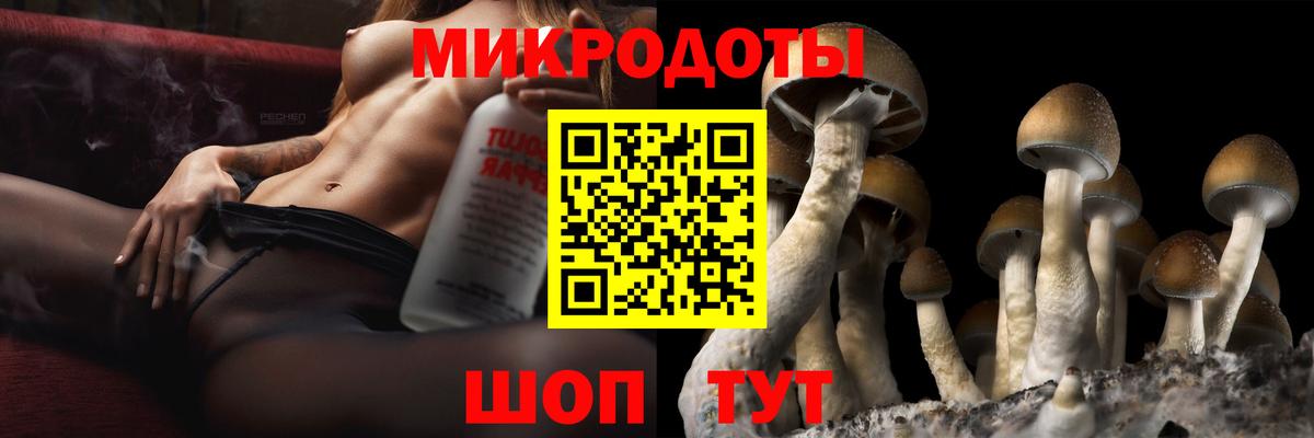 Галлюциногенные грибы MAGIC MUSHROOMS Грозный