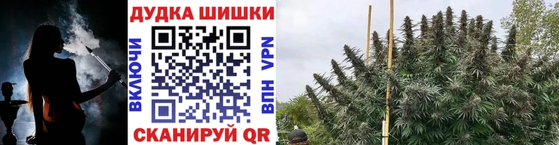 МАРИХУАНА план  Грозный 